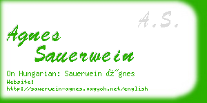 agnes sauerwein business card